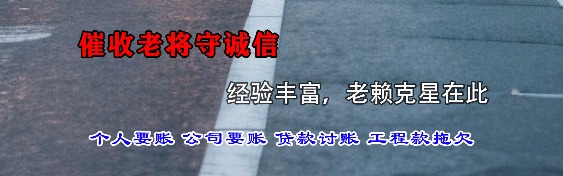 博罗清债公司